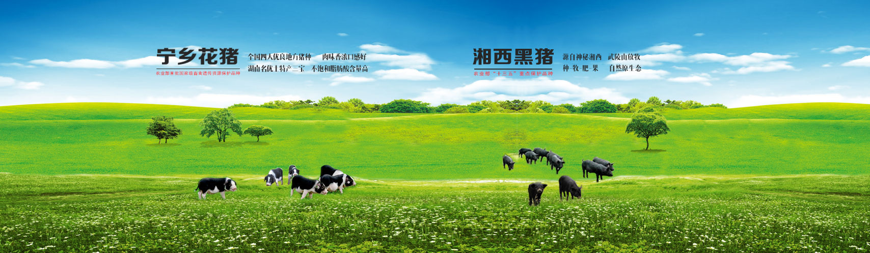 ��ҳ- �������ǲ��й��������