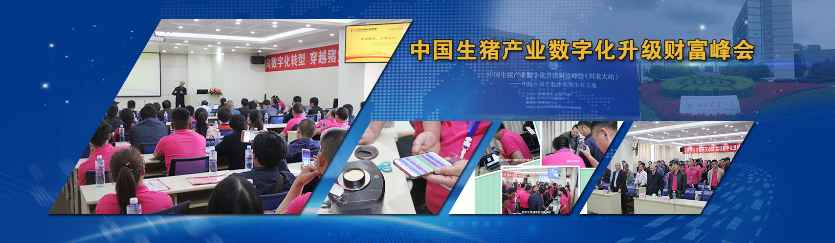 ��ҳ- �������ǲ��й��������